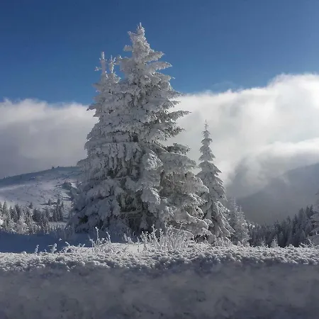 Dvori 8c Apartament *