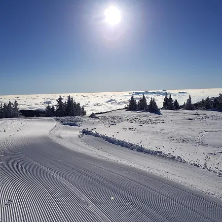 Apartament Dvori 8c *