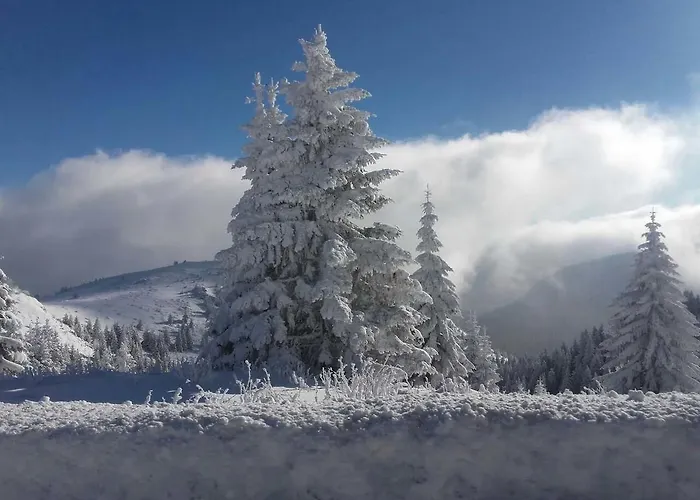 Dvori 8c Διαμέρισμα *